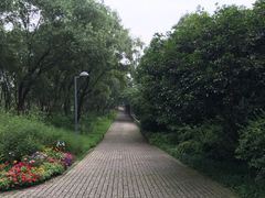 -西湖风景区-江洋畈生态公园