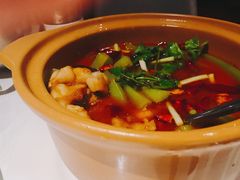 -皇朝会.经典传统粤菜(外滩店)