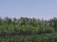 -永定河休闲森林公园