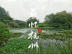 -西溪国家湿地公园