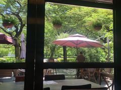 -缘生态云南菜·野生菌庭院餐厅(华侨城店)