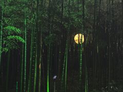 -杭州黄龙洞