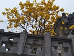 -上屿水产(鼓浪屿一店)