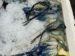 -唐人街(耀华力路)