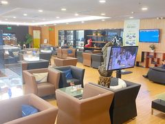 -大连中升雷克萨斯(华北路店)