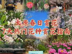 -迎泽公园