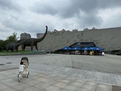 -安徽省地质博物馆