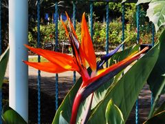 -国家植物园南园