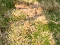 -中国天府农业博览园