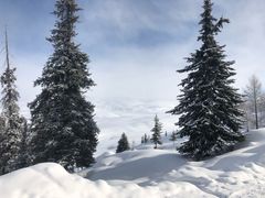 -绍兴启迪乔波冰雪世界