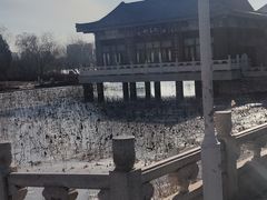 -天津水上公园