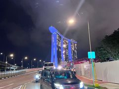 -新加坡文华东方酒店