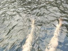 -龙达温泉生态城