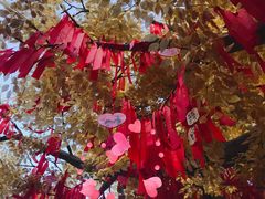 -济南方特东方神画