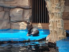 -华夏文旅海洋公园