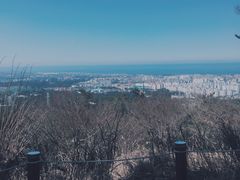 -汉拿树木园