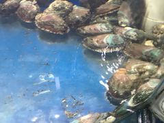 -蓝珊甄选海鲜自助·火锅大排档(近阿那亚店)