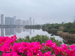 -厦门园林博览苑