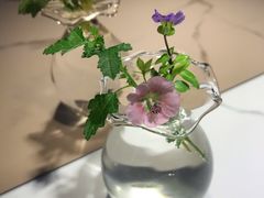-茶是一枝花泡茶店