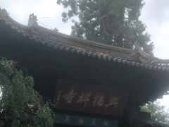 -兴福禅寺