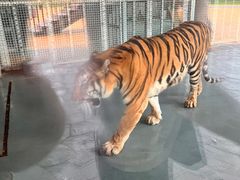 -无锡动物园·太湖欢乐园