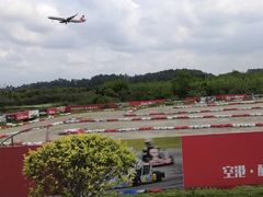 -空港花田景区