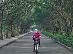 -大湾区中央湿地公园