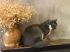 -MIKAKU(万达广场上海宝山店)