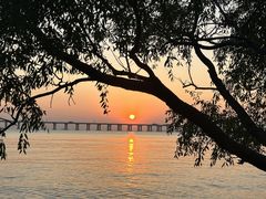 -宝安西湾红树林湿地公园