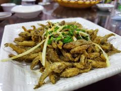 -东江湖游水三文鱼美食城