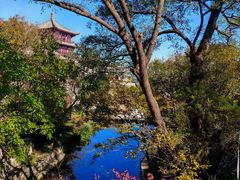 -北京凤凰岭