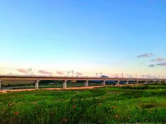 -光明小镇欢乐田园