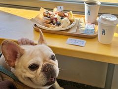 -小意思咖啡店(草桥店)