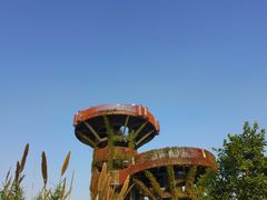 -芒洲湿地公园