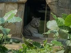 -南宁市动物园