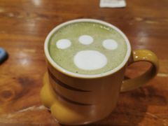 抹茶拿铁-more than meow吴止猫主题餐厅(承德 中船汇店)