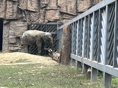 -成都动物园