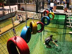 -梦幻奥陶纪景区