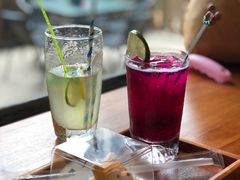 -柴犬高等学院·狗咖·柴犬售卖·宠物训练