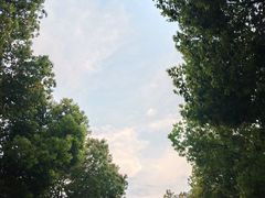 -紫燕百味鸡(银龙花园店)