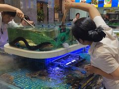 -大众海鲜(巨龙北路店)