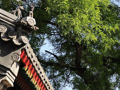 -丰台药王庙