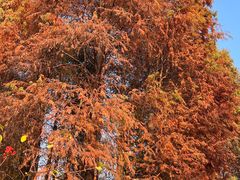 -广东外语外贸大学(白云山校区)