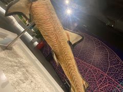 -生命奥秘博物馆