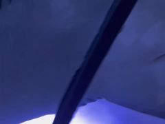 -悉尼海洋生物水族馆