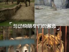 -南昌动物园