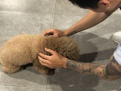 -城市猎人射箭馆(宝龙广场店)