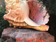 -外沙疍家棚酒楼