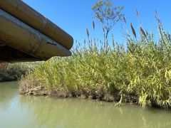 -泗洪洪泽湖湿地景区