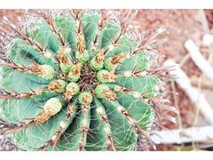 -南通洲际绿博园